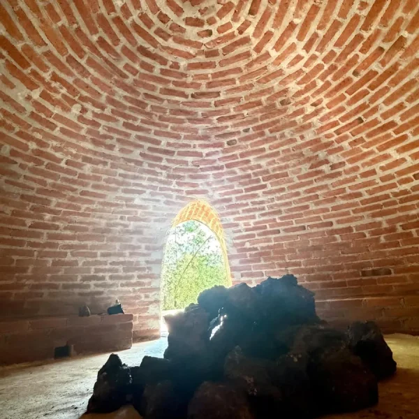 bosque-arcadia-otros-22