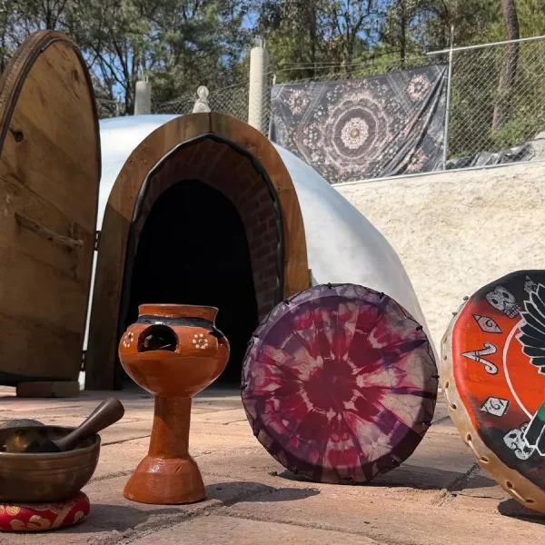 bosque-arcadia-otros-25